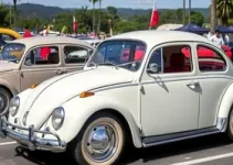 Dia Nacional do Fusca