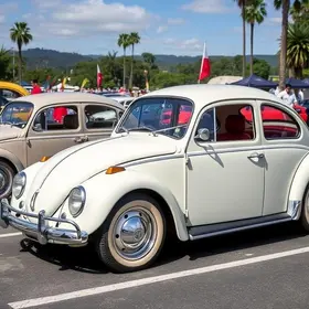 Dia Nacional do Fusca