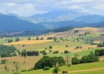 empate entre São Bernardo e Sampaio Corrêa-RJ
