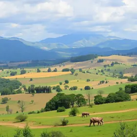 empate entre São Bernardo e Sampaio Corrêa-RJ