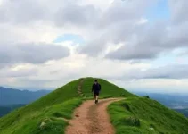 Caminho da Capacitação