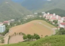bolsas de estudo na área da saúde