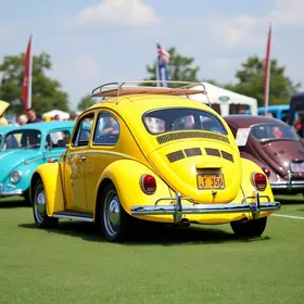 Dia Mundial do Fusca