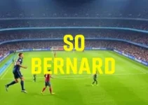 São Bernardo x Avaí