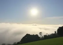 previsão do tempo São Bernardo do Campo