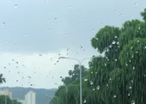 chuva em São Bernardo
