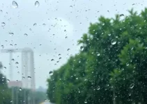 previsão do tempo em São Bernardo do Campo