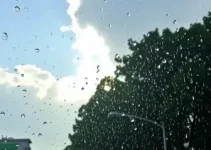 previsão do tempo
